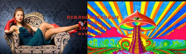 гашик Бутурлиновка