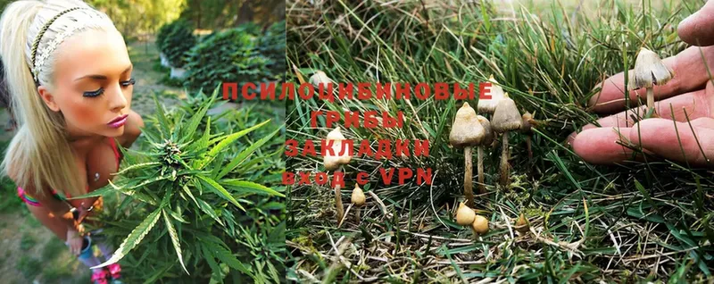 ОМГ ОМГ зеркало  Бахчисарай  Галлюциногенные грибы Magic Shrooms 