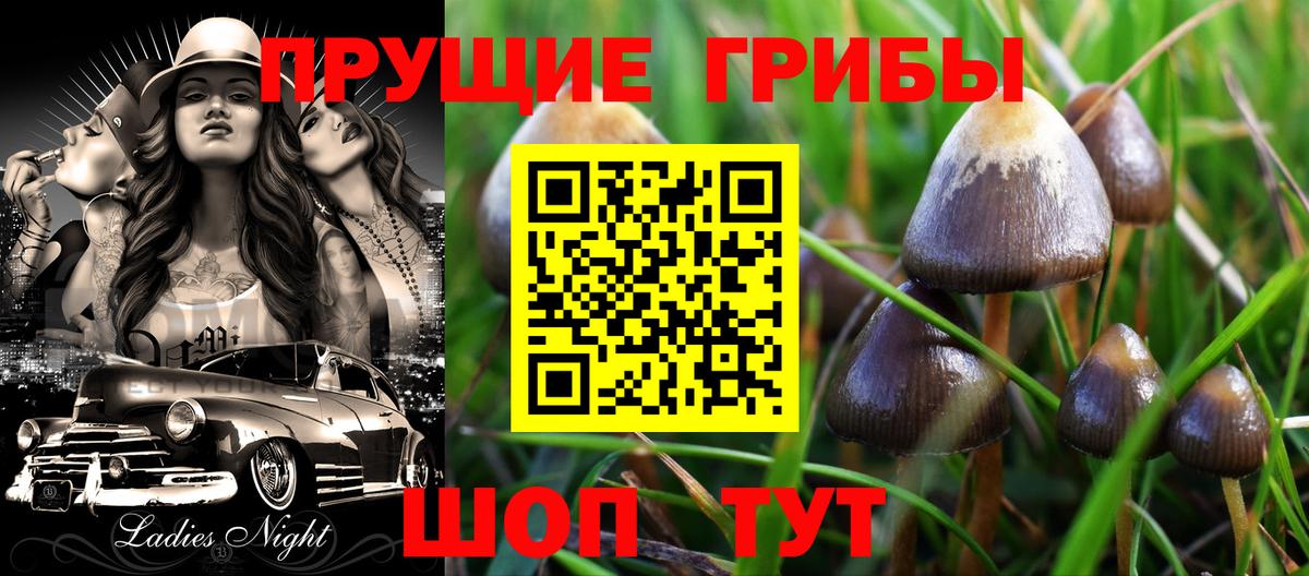 Псилоцибиновые грибы GOLDEN TEACHER Бахчисарай