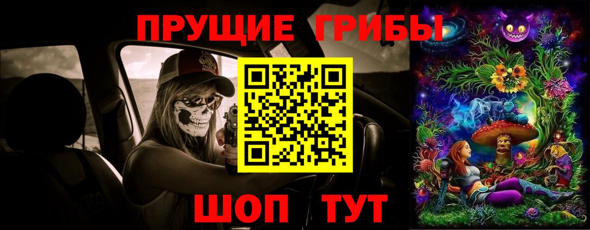 Псилоцибиновые грибы MAGIC MUSHROOMS  Бахчисарай  Галлюциногенные грибы Psilocybine cubensis 