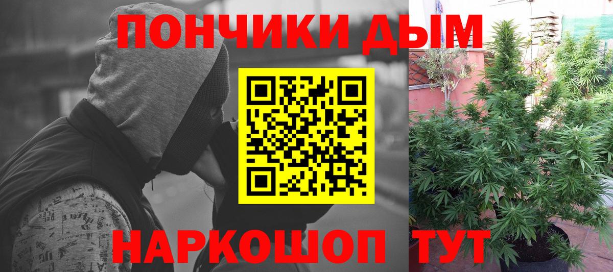 Конопля Amnesia  Бошки марихуана AK-47  Бахчисарай  Шишки марихуана семена 